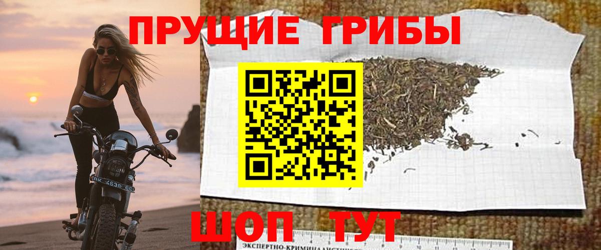Борзя  Галлюциногенные грибы Psilocybine cubensis  Галлюциногенные грибы мицелий  хочу   Вход с VPN 